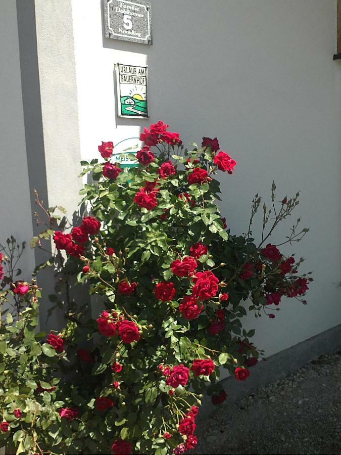 Schnatterhof Villa Lambrechten Eksteriør bilde